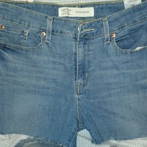 Signature Blue Jeans with Distressed Raw Hem Mid-rise Boyfriend Cut Off Shorts